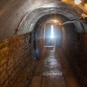  Sproing Pics (37/92)